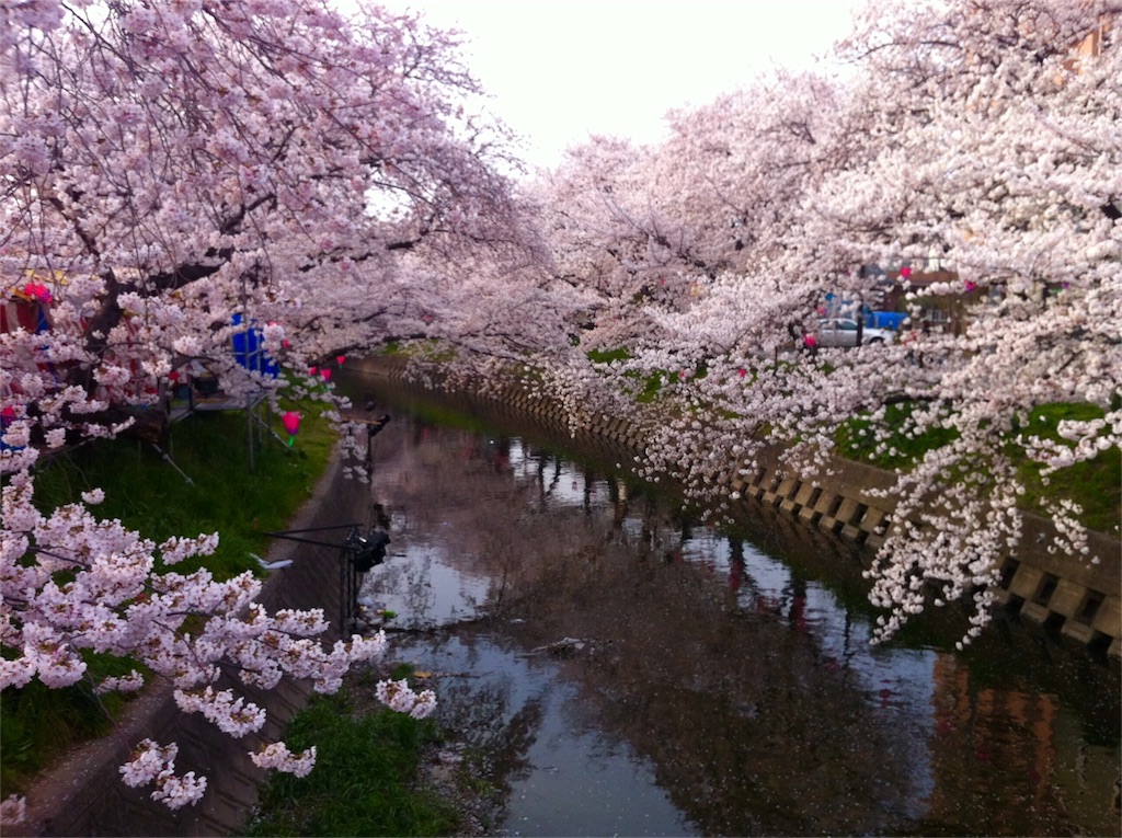 f:id:kitahonami:20170405190244j:image f:id:kitahonami:20170405190244j:image