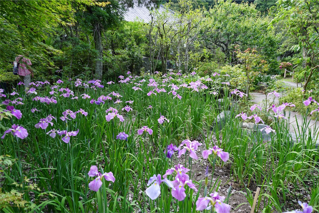 f:id:kitahonami:20170613185503j:image f:id:kitahonami:20170613185503j:image