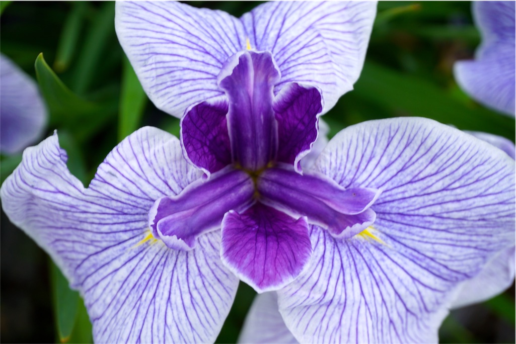 f:id:kitahonami:20170623220544j:plain f:id:kitahonami:20170623220544j:plain