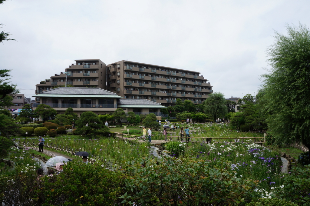 f:id:kitahonami:20170624004503j:plain f:id:kitahonami:20170624004503j:plain