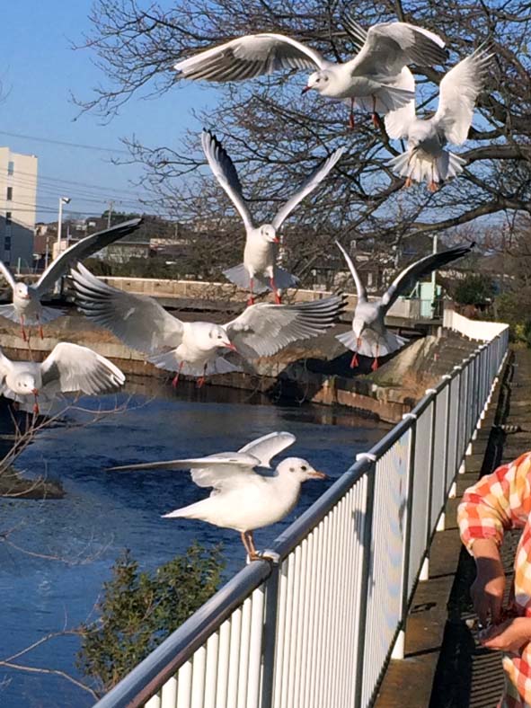 f:id:kitajun0222:20160102145053j:image:w360 f:id:kitajun0222:20160102145053j:image:w360