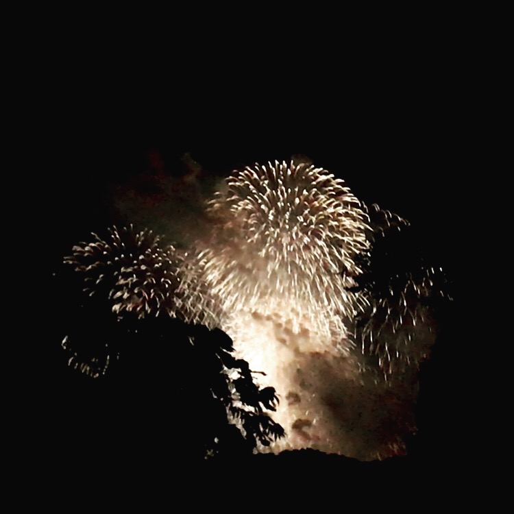 鎌倉花火大会17 日々の残像v 北鎌倉篇
