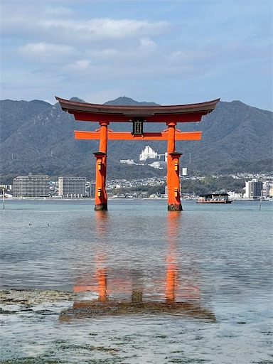 f:id:kitakaraminani_nishikarhigashi:20250521121640j:image f:id:kitakaraminani_nishikarhigashi:20250521121640j:image