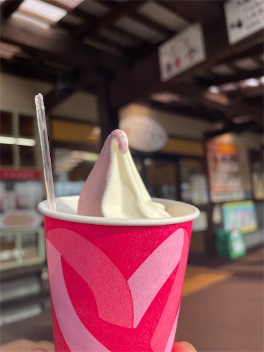 f:id:kitakaraminani_nishikarhigashi:20250521122004j:image