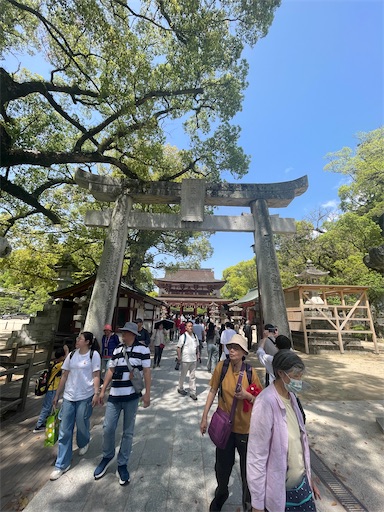 f:id:kitakaraminani_nishikarhigashi:20250521122349j:image f:id:kitakaraminani_nishikarhigashi:20250521122349j:image