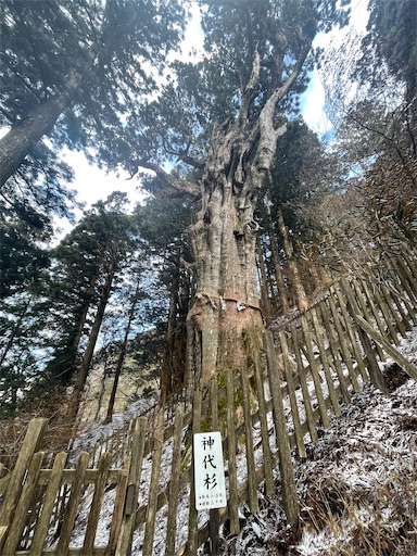 f:id:kitakaraminani_nishikarhigashi:20250522123642j:image f:id:kitakaraminani_nishikarhigashi:20250522123642j:image