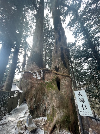 f:id:kitakaraminani_nishikarhigashi:20250522123708j:image