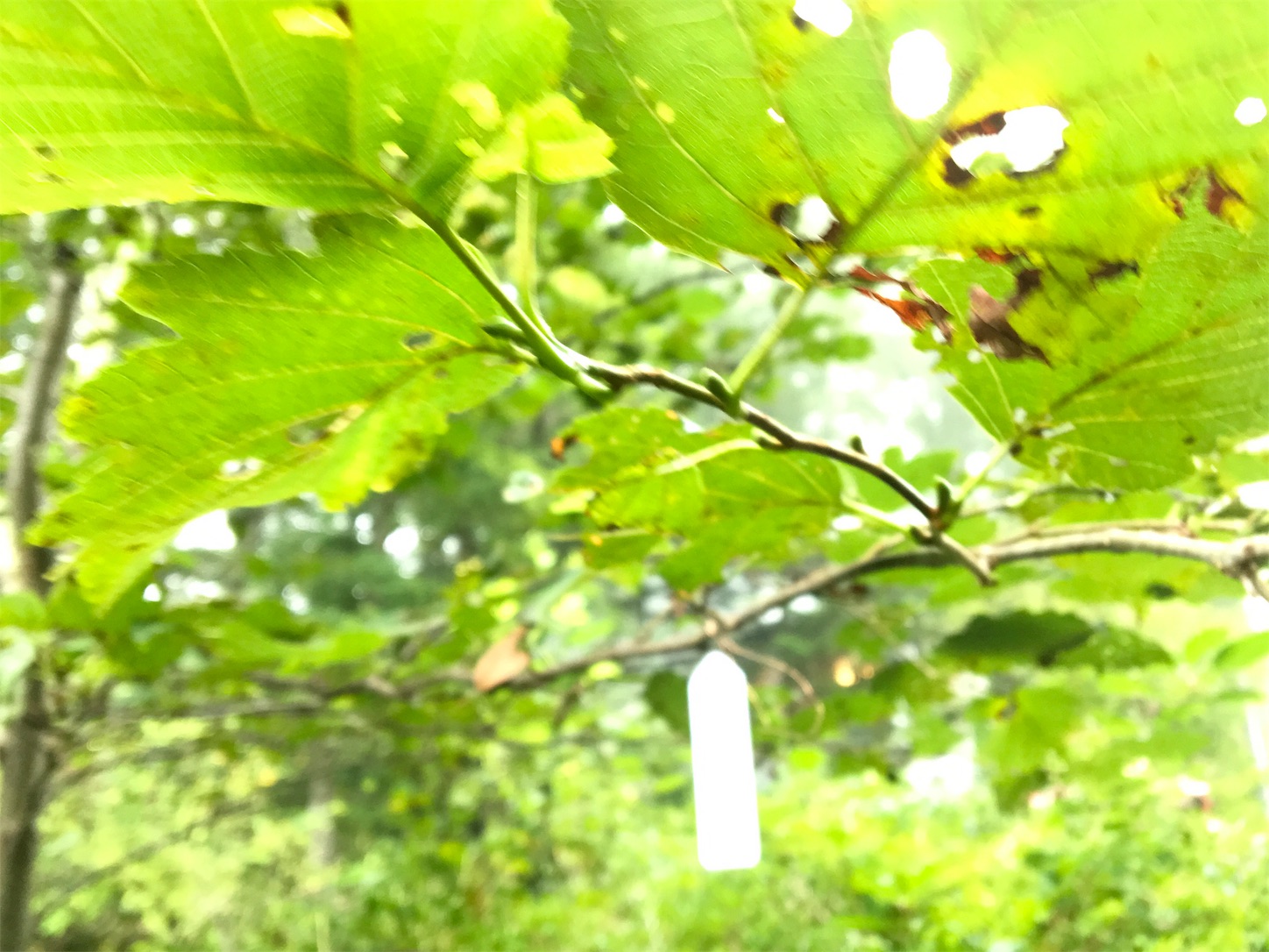 f:id:kitakarukaigo:20200920180324j:image