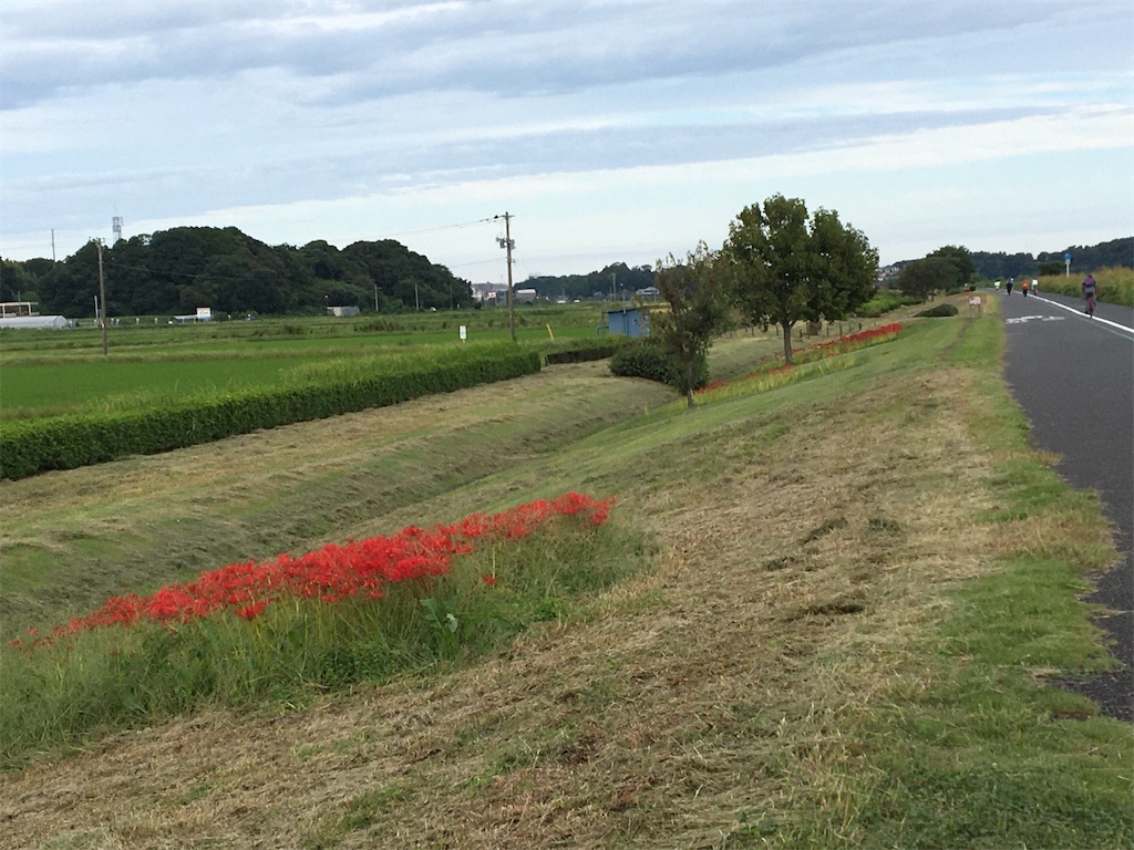 f:id:kitakarukaigo:20230924074918j:image