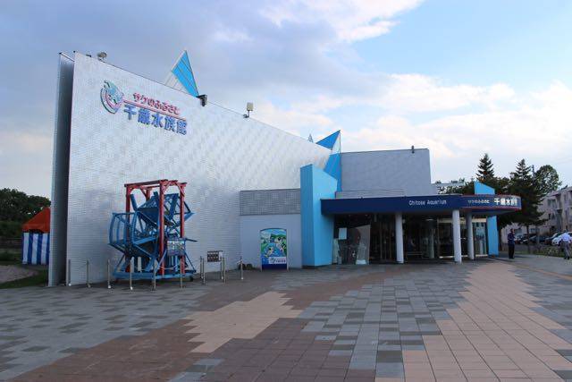 サケのふるさと千歳水族館 日本でもここだけの水中観察水族館 キタログ