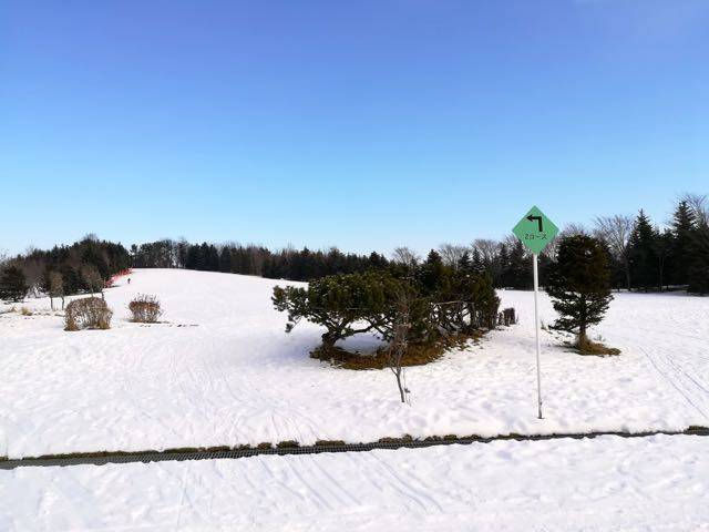 川下公園　なだらかなスキースロープ