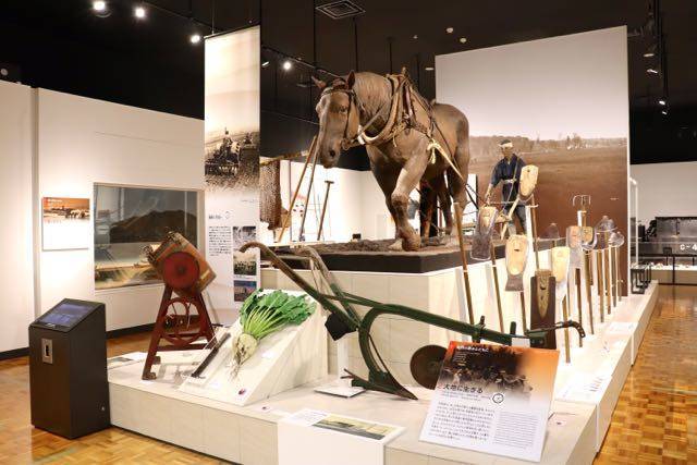 北海道博物館　展示物