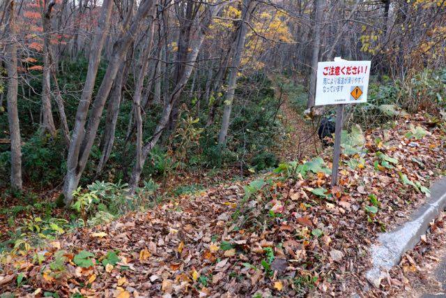 北海道博物館　遊歩道