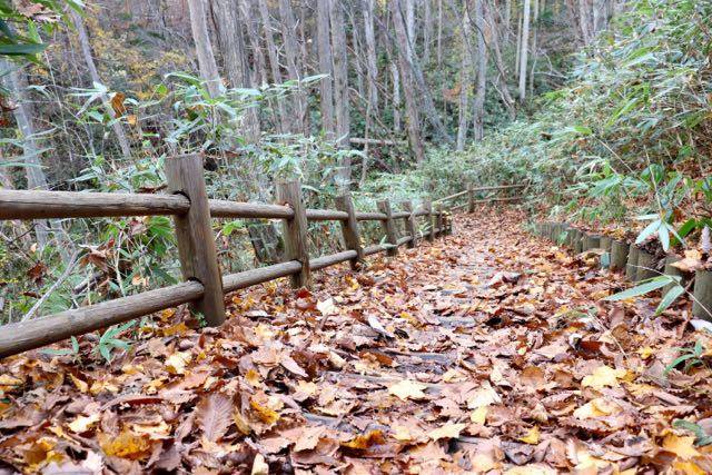 北海道博物館　遊歩道