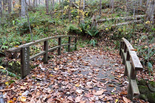 北海道博物館　遊歩道