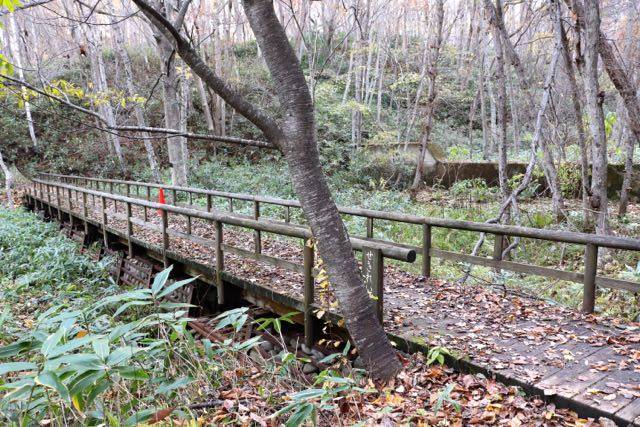 北海道博物館　遊歩道　セキレイばし