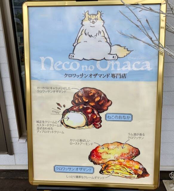 ねこのおなか　クロワッサンオザマンド