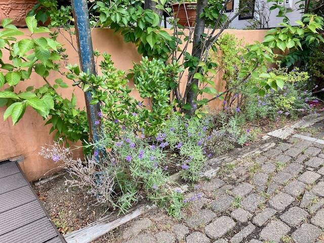 タベルナラ　リストランテ　外観