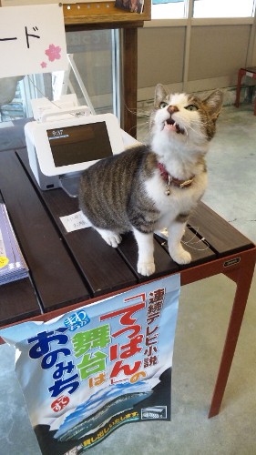 f:id:kitamaetei:20101111093556j:image
