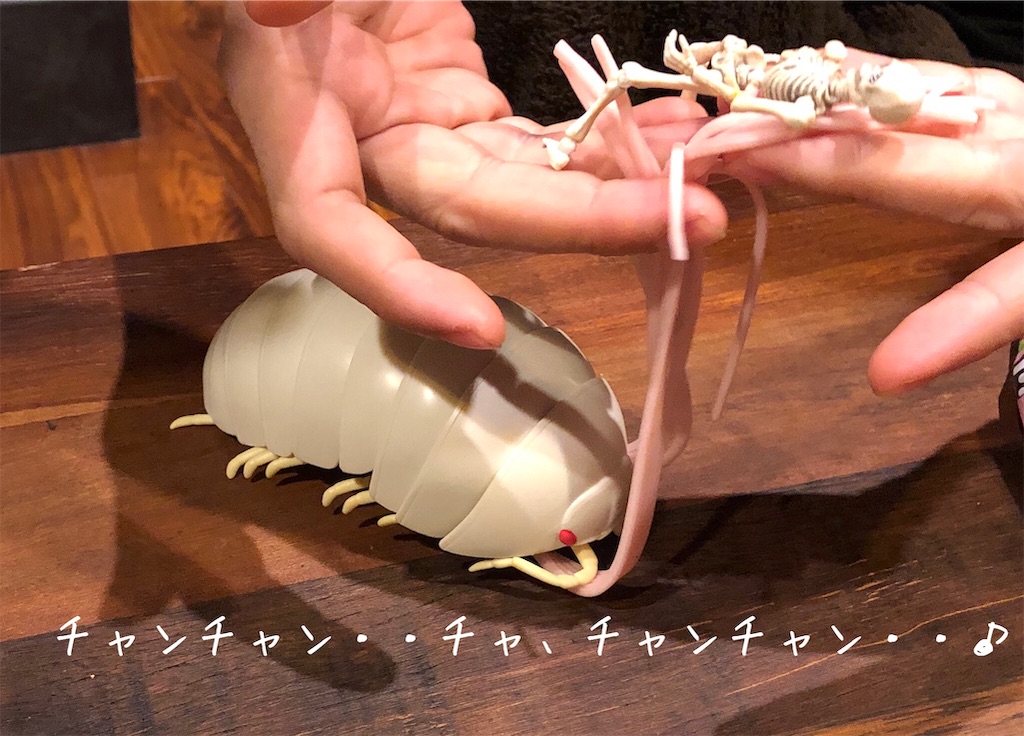 f:id:kitano-stop:20190129230132j:image