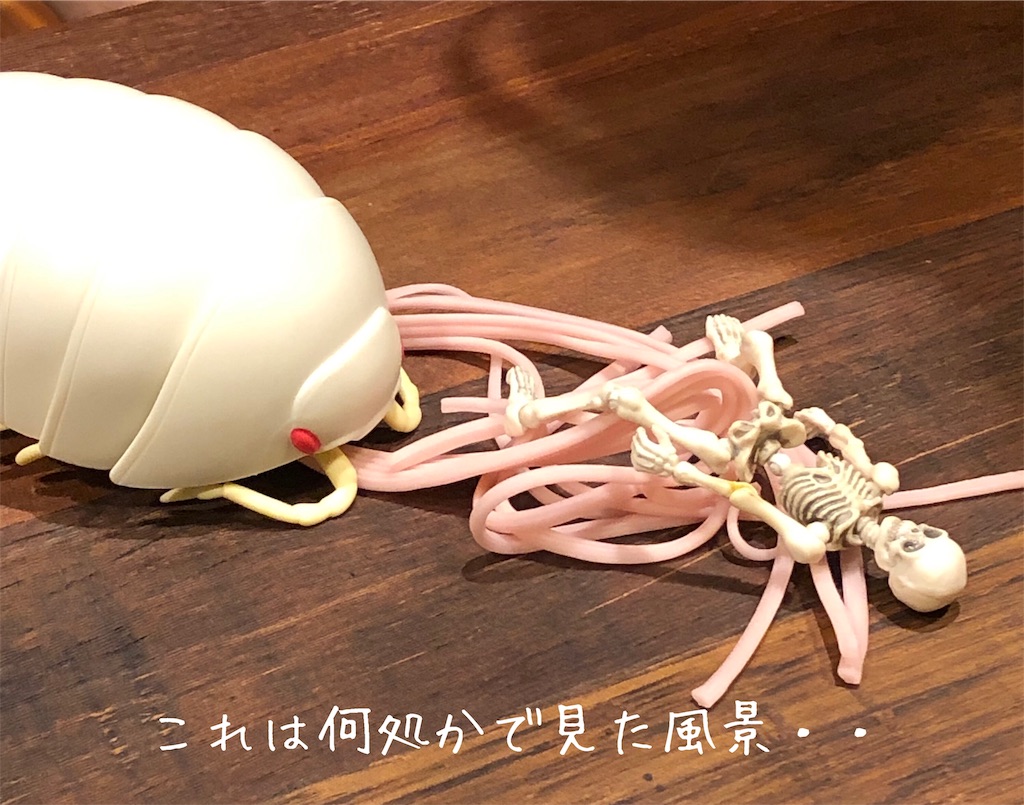 f:id:kitano-stop:20190129235900j:image