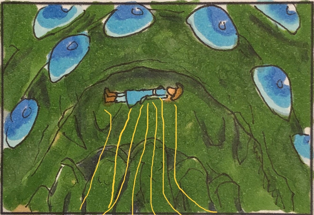 f:id:kitano-stop:20190130121332j:image