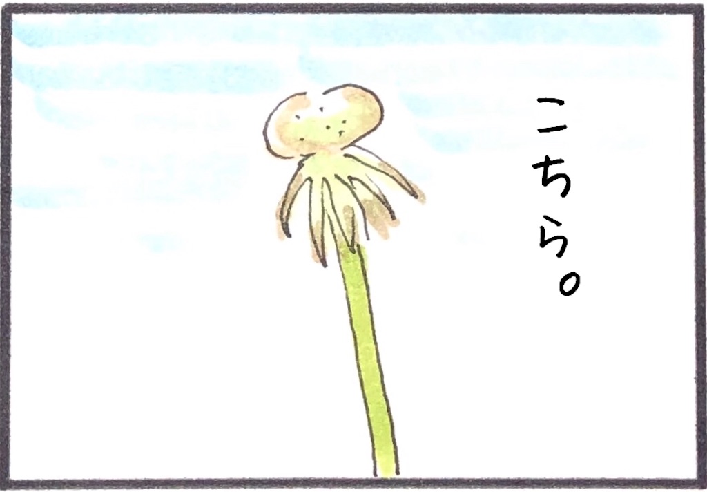 f:id:kitano-stop:20190322214148j:image