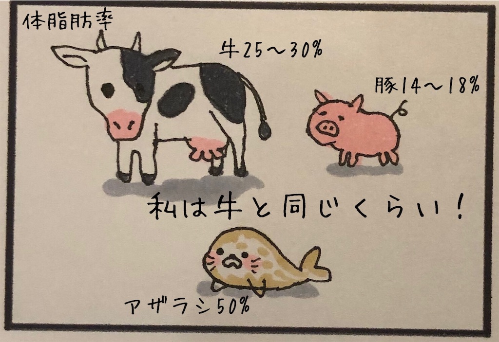 f:id:kitano-stop:20190416225938j:image f:id:kitano-stop:20190416225938j:image