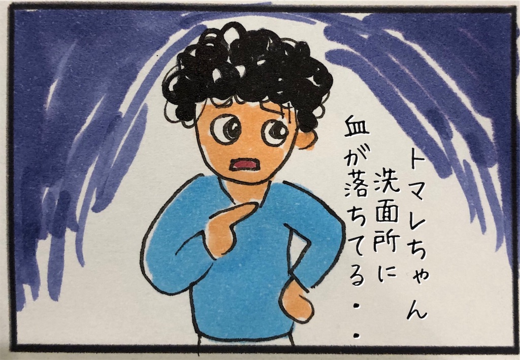 f:id:kitano-stop:20190611224522j:image f:id:kitano-stop:20190611224522j:image