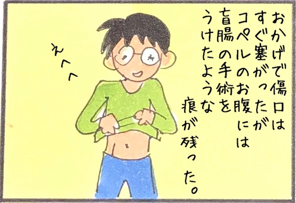 f:id:kitano-stop:20190612010637j:image f:id:kitano-stop:20190612010637j:image