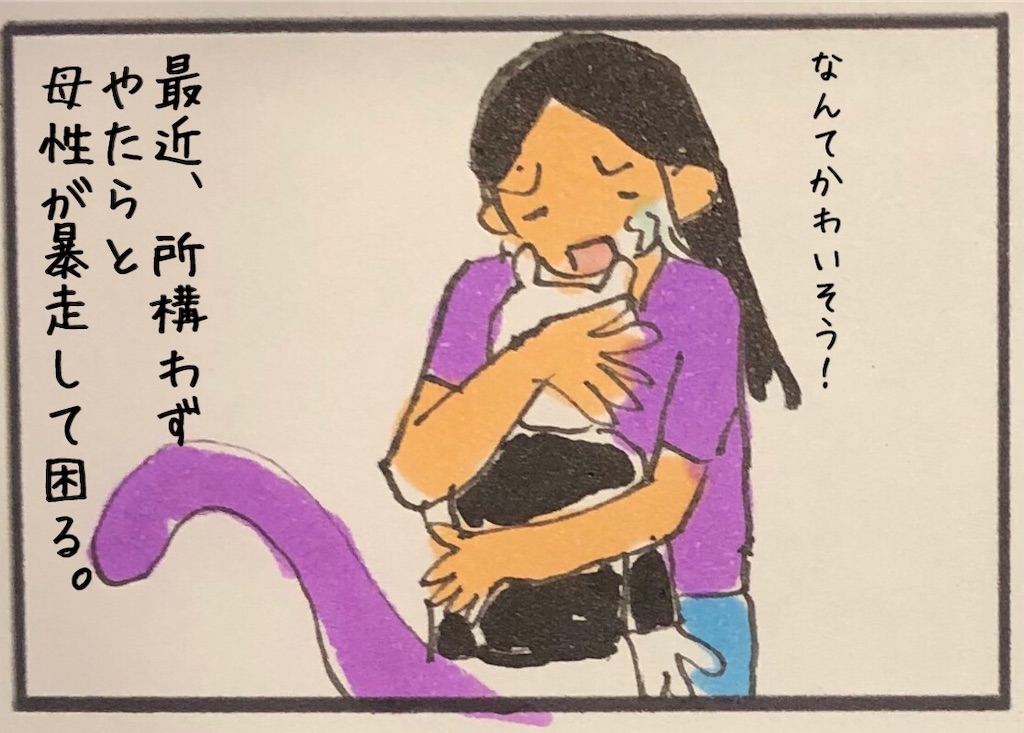 f:id:kitano-stop:20190717085415j:image