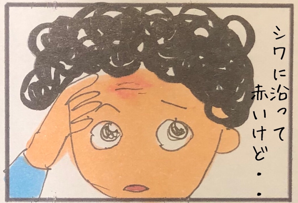 f:id:kitano-stop:20191124230928j:image f:id:kitano-stop:20191124230928j:image