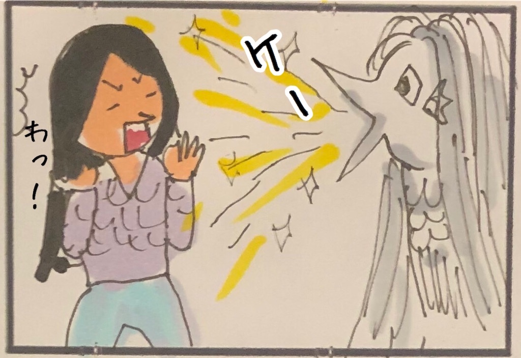 f:id:kitano-stop:20200427180837j:image f:id:kitano-stop:20200427180837j:image