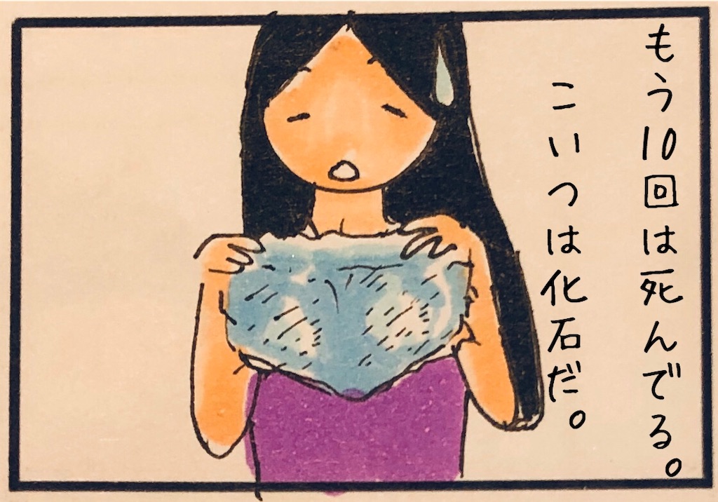 f:id:kitano-stop:20200618081621j:image f:id:kitano-stop:20200618081621j:image