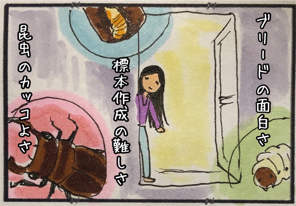 f:id:kitano-stop:20200711225306j:image