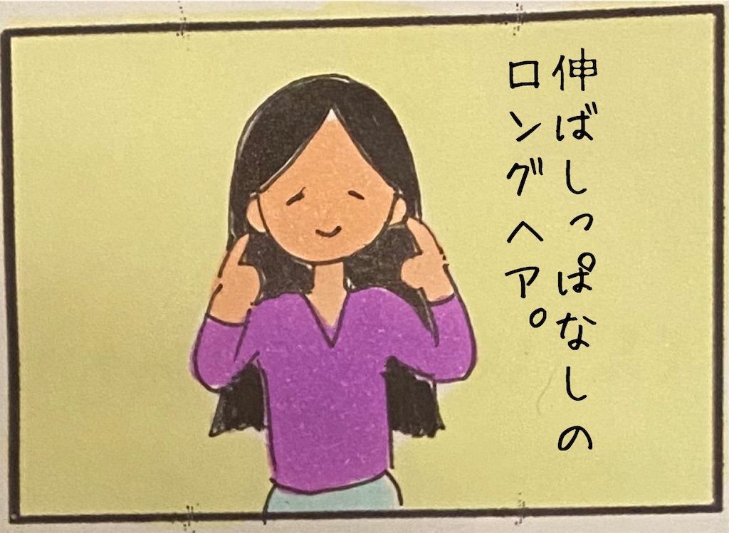 ヘアドネーション 48g ヘアドネーションをした話 - ほうれい線上のアリア