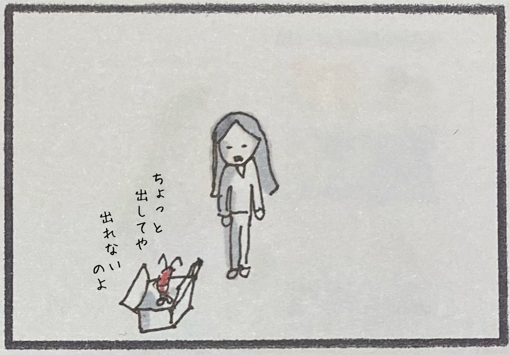f:id:kitano-stop:20201210223738j:image f:id:kitano-stop:20201210223738j:image