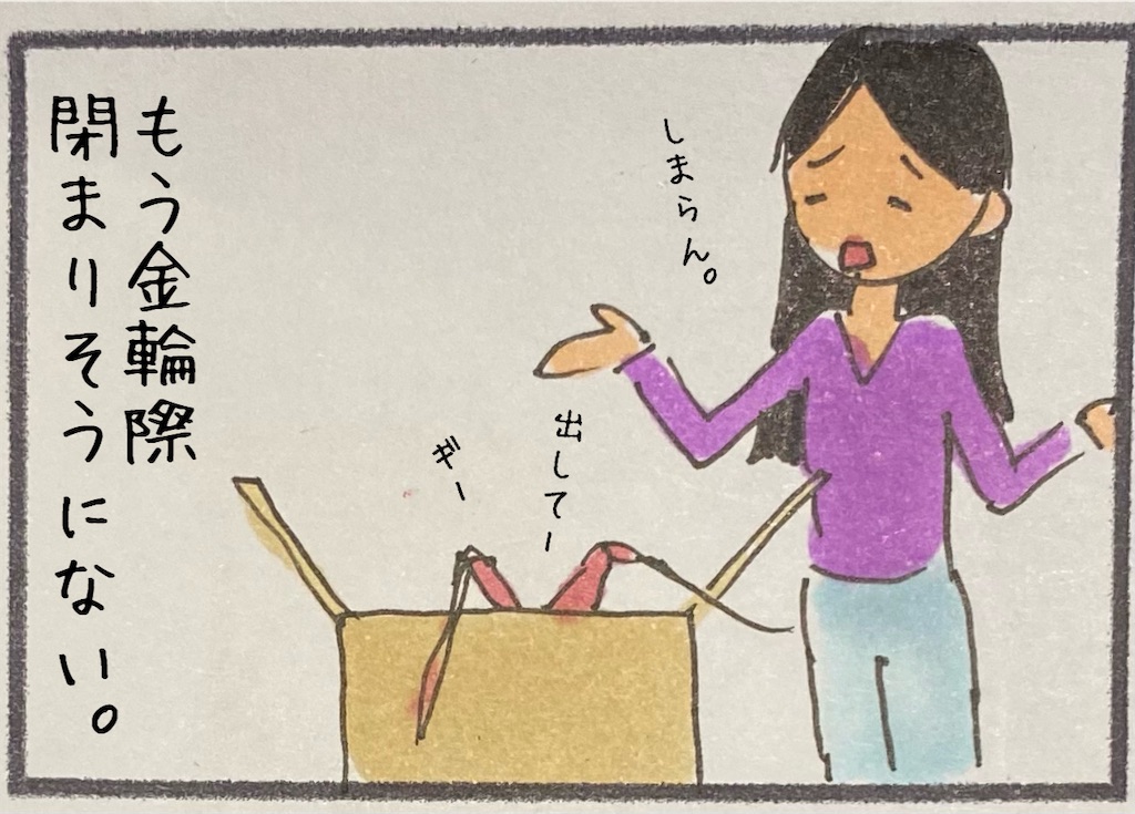 f:id:kitano-stop:20201210233013j:image f:id:kitano-stop:20201210233013j:image