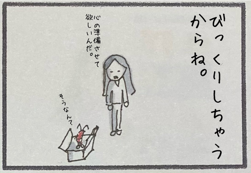 f:id:kitano-stop:20201211131050j:image f:id:kitano-stop:20201211131050j:image
