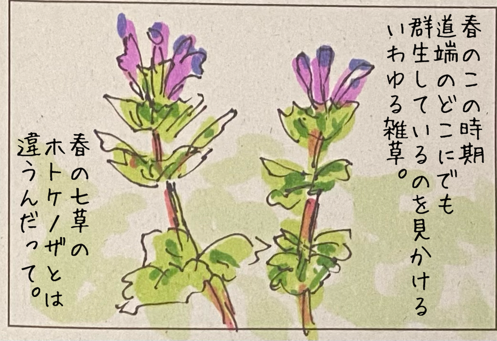f:id:kitano-stop:20210331162143p:image f:id:kitano-stop:20210331162143p:image