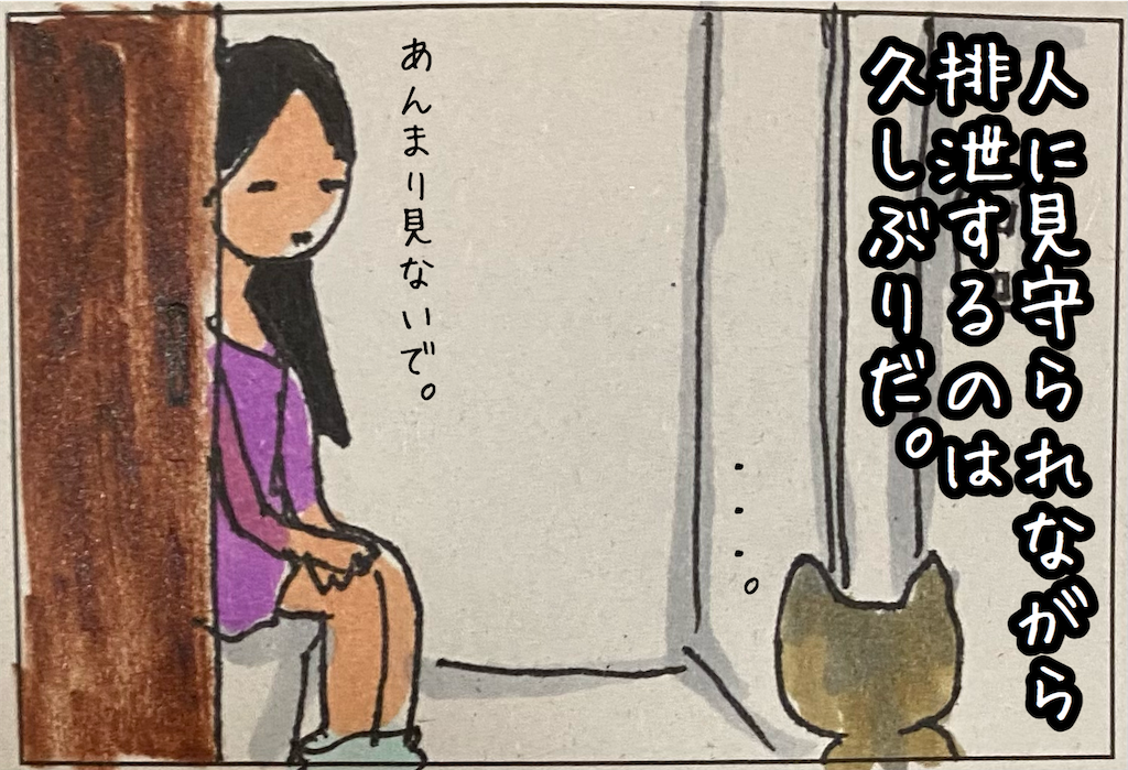 f:id:kitano-stop:20210918233037p:image f:id:kitano-stop:20210918233037p:image