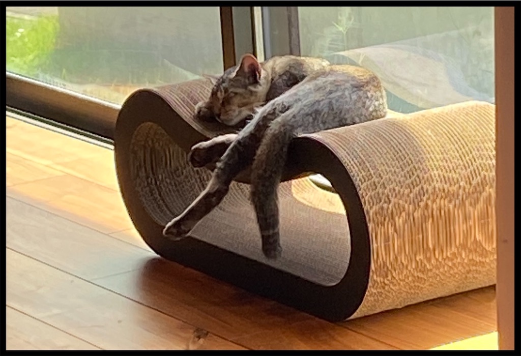 f:id:kitano-stop:20210919121815j:image f:id:kitano-stop:20210919121815j:image