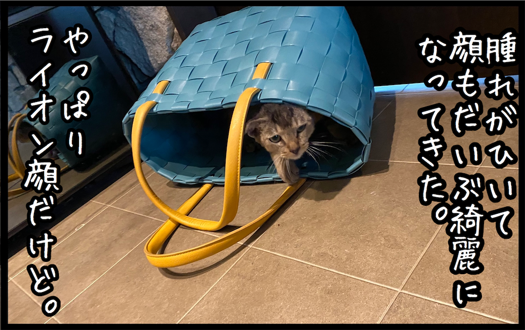 f:id:kitano-stop:20210919122438p:image f:id:kitano-stop:20210919122438p:image