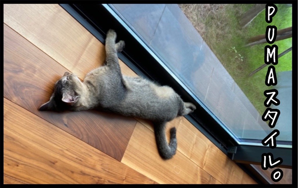 f:id:kitano-stop:20211028080342j:image