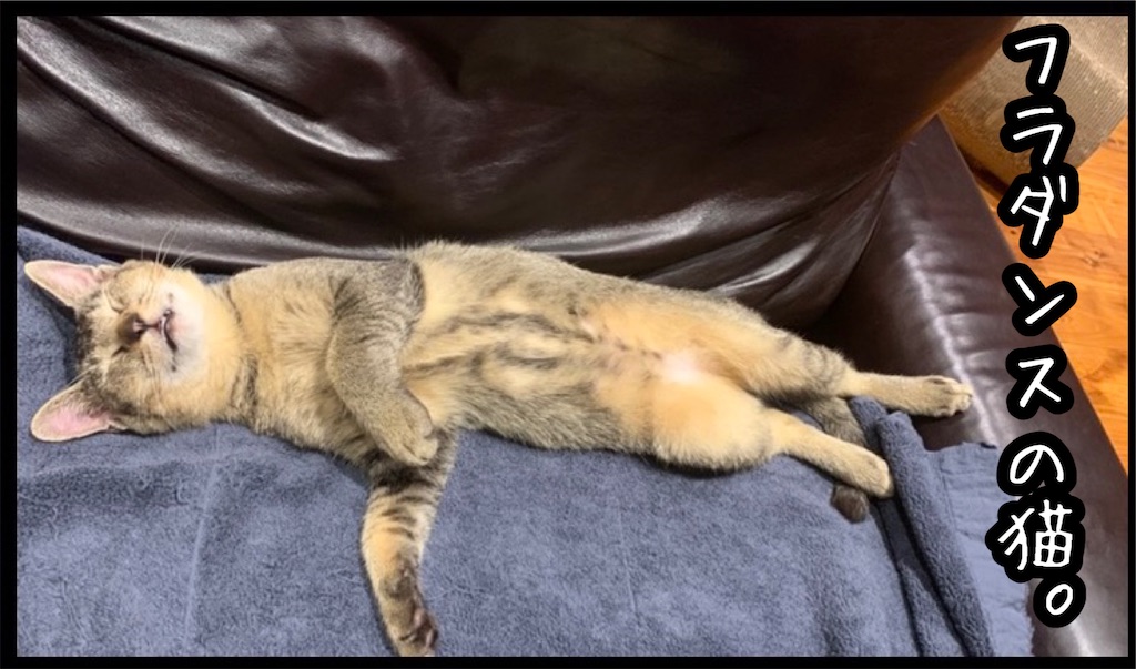 f:id:kitano-stop:20211028081057j:image