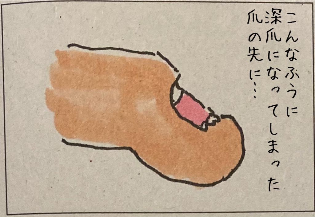 f:id:kitano-stop:20211105164416j:image f:id:kitano-stop:20211105164416j:image