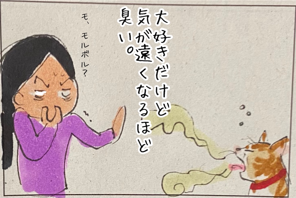f:id:kitano-stop:20211116184125j:image f:id:kitano-stop:20211116184125j:image