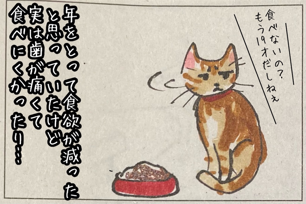 f:id:kitano-stop:20211116224703j:image f:id:kitano-stop:20211116224703j:image
