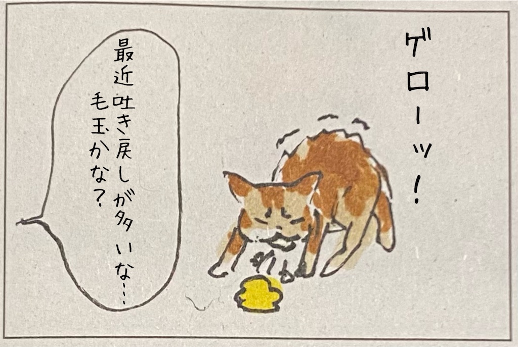 f:id:kitano-stop:20211116230450j:image f:id:kitano-stop:20211116230450j:image