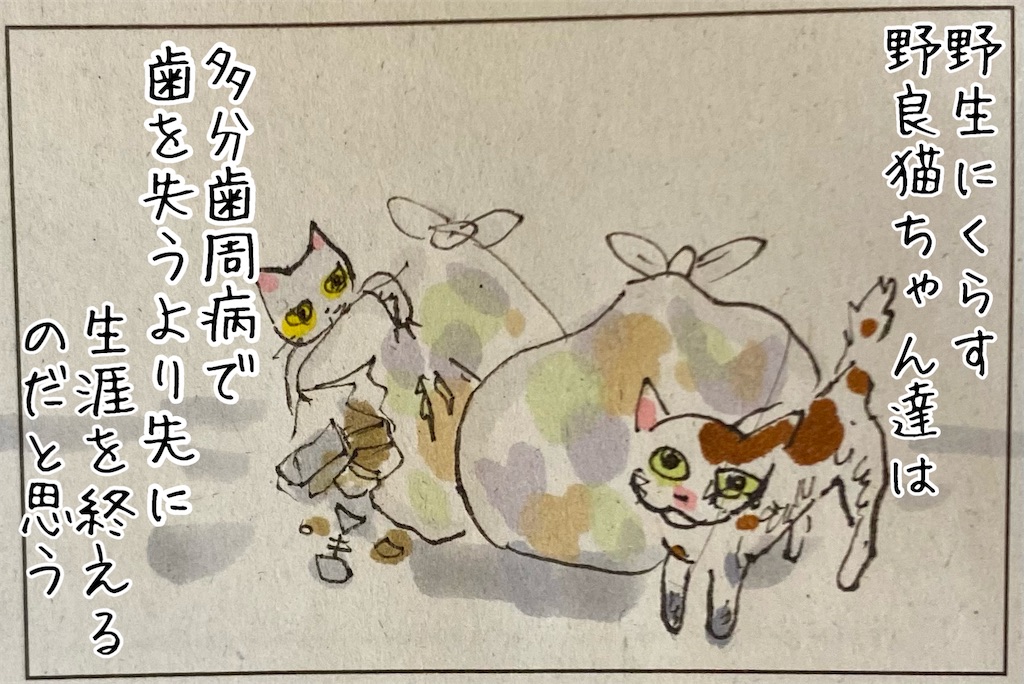 f:id:kitano-stop:20211117093242j:image f:id:kitano-stop:20211117093242j:image